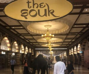 The sour